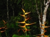 Belize 028